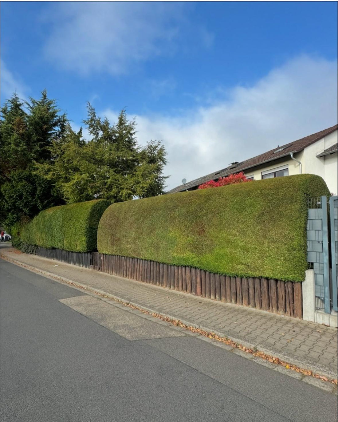 Gartenarbeit